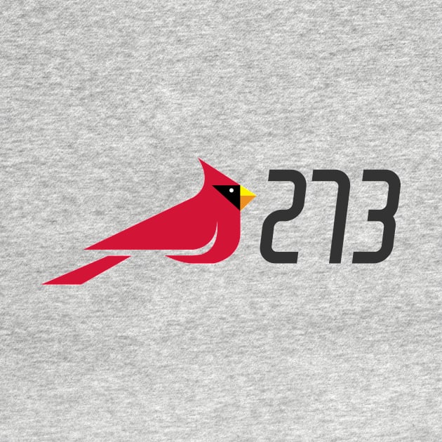 Cardinal 273 Light by Gville Flyers